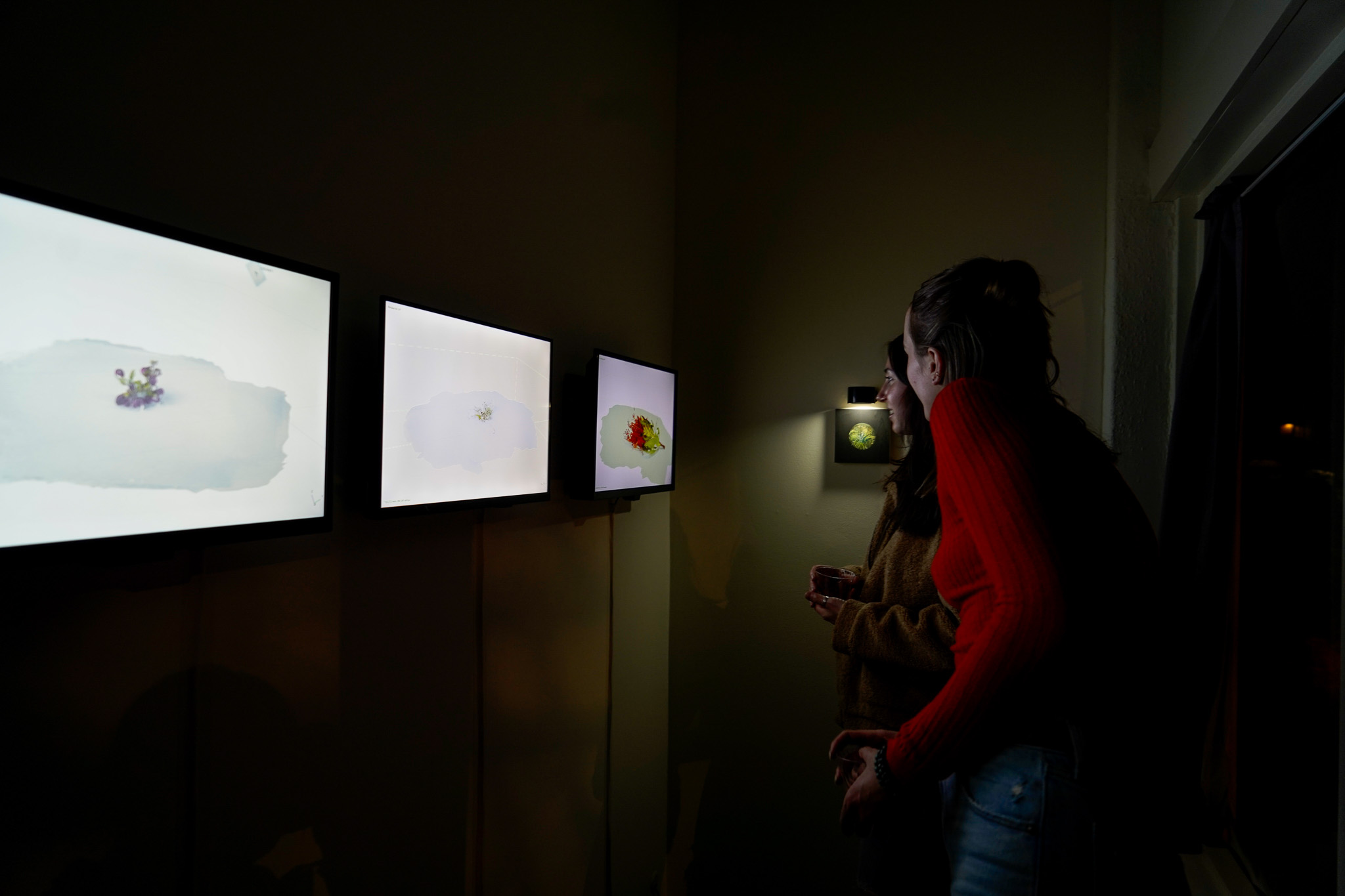Installation still of Accumulative Reducation by Emily Dzieweczynski