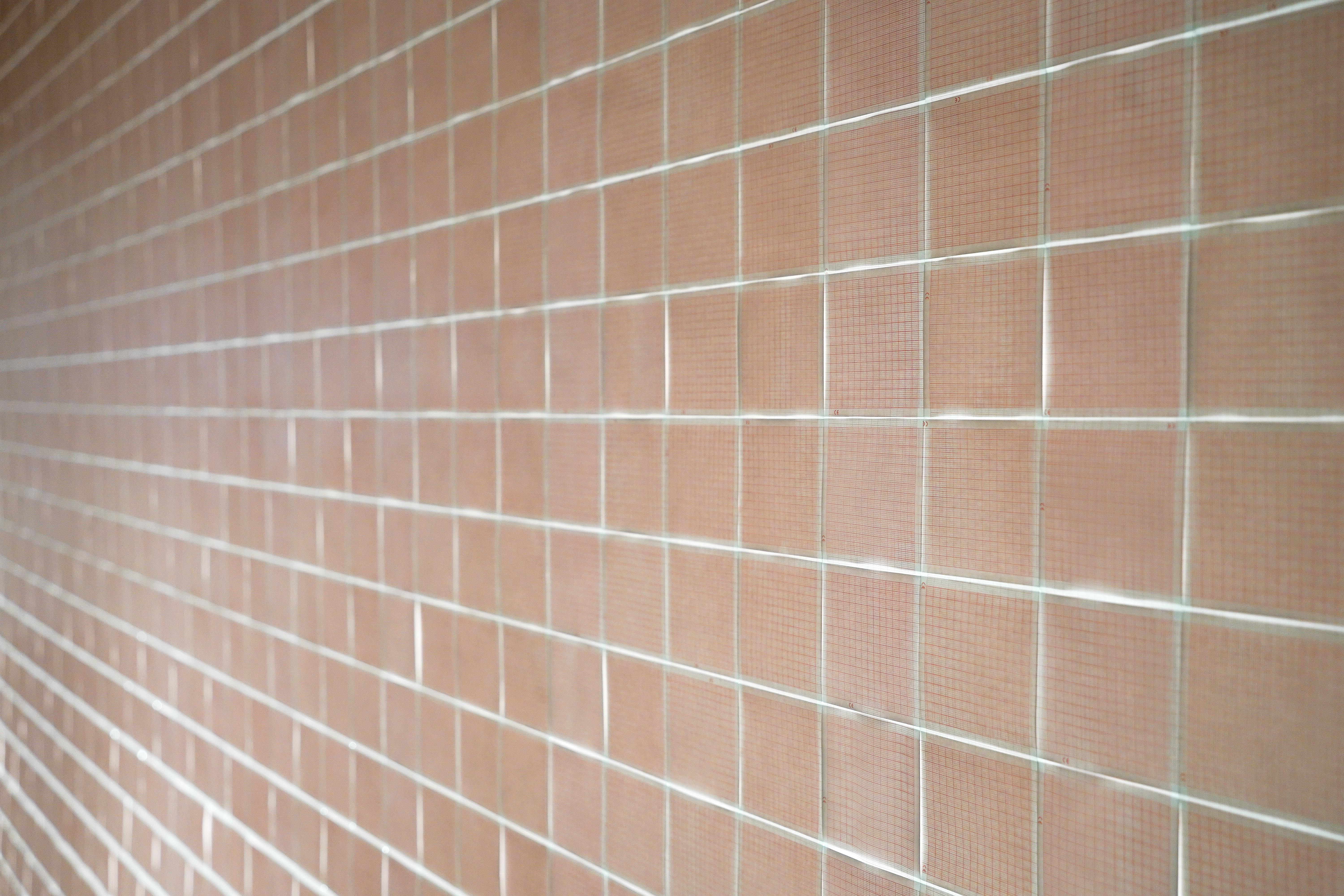 Installation still of bleeding from the outside in by Emily Dzieweczynski