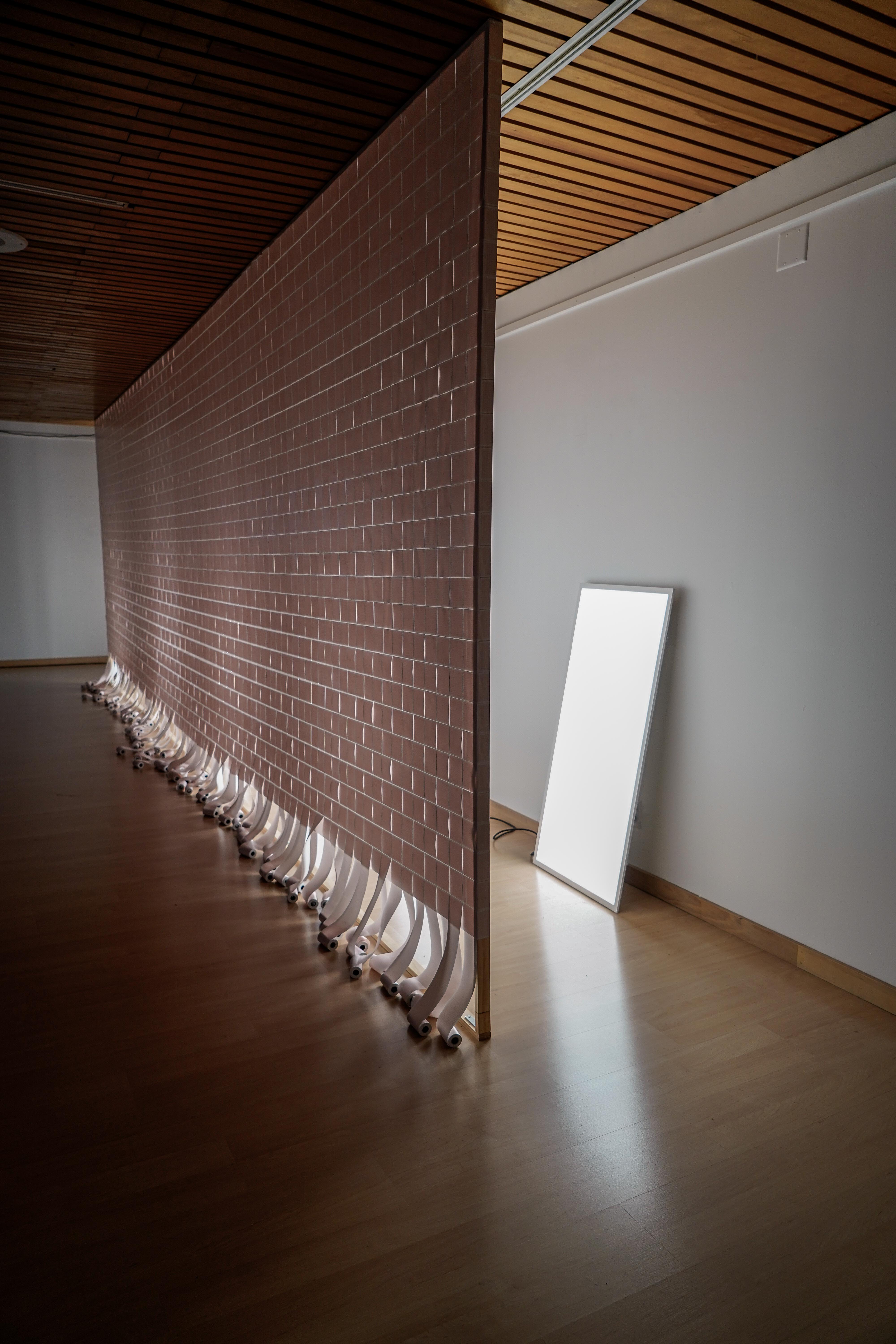 Installation still of bleeding from the outside in by Emily Dzieweczynski