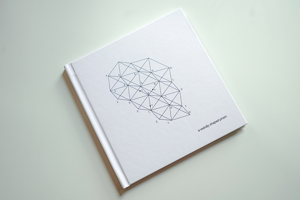 Close up of a weirdly shaped prism, a book by Emily Dzieweczynski